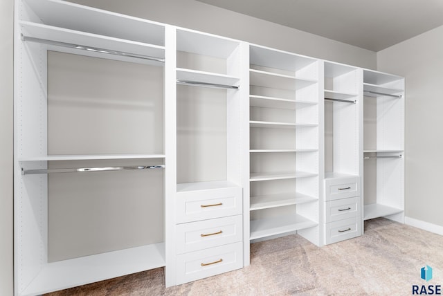 spacious closet featuring light carpet