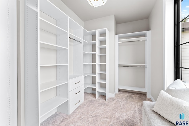 spacious closet featuring light carpet