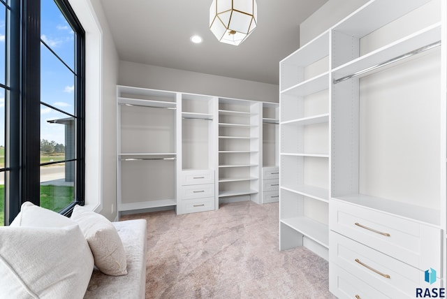 spacious closet with light carpet