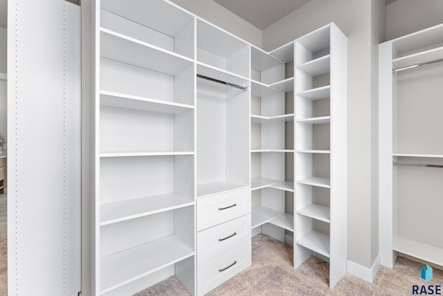 walk in closet with light carpet