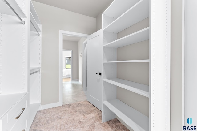 walk in closet with light colored carpet