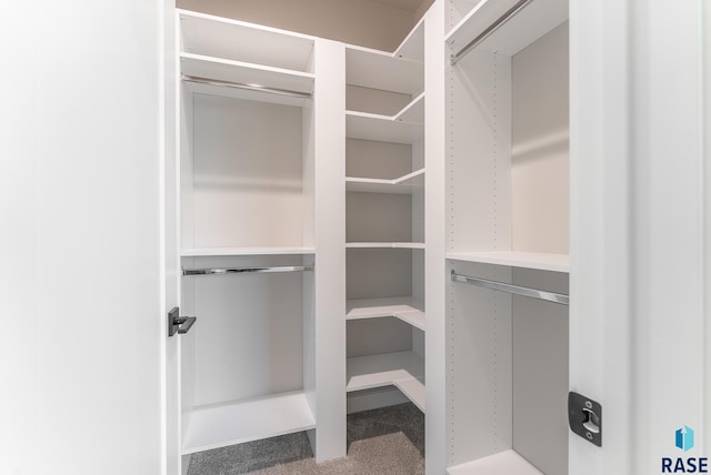 walk in closet with carpet floors