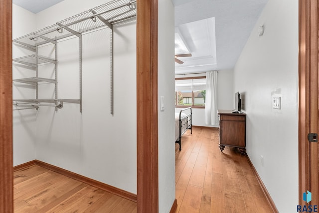 walk in closet with light hardwood / wood-style flooring, ceiling fan, and a tray ceiling