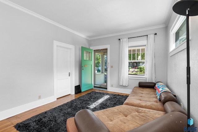 living room featuring wood-type flooring and ornamental molding