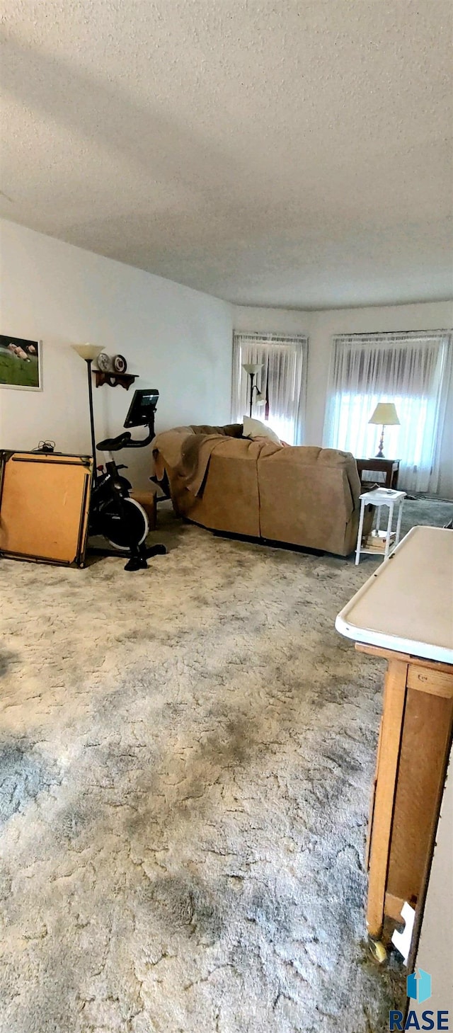 living room featuring a textured ceiling