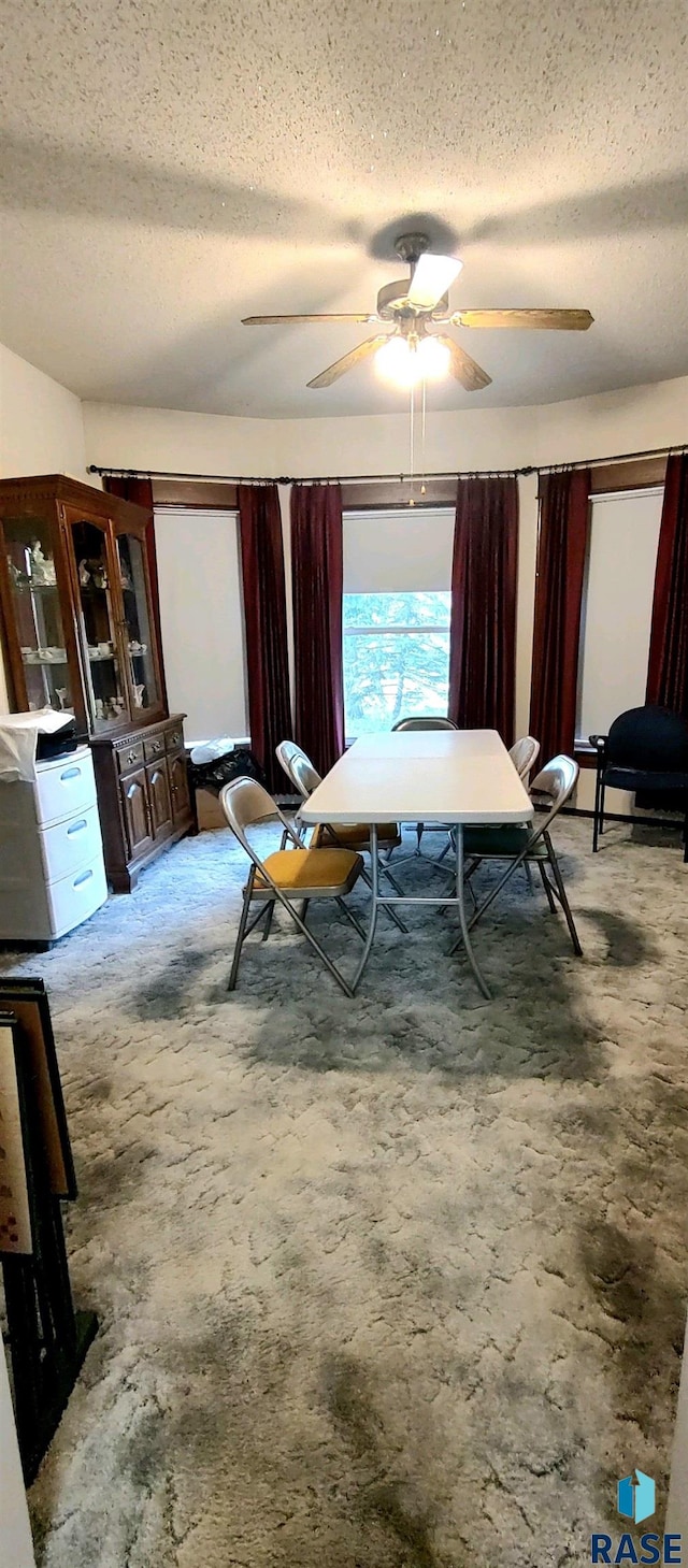 interior space featuring ceiling fan and a textured ceiling