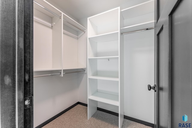 spacious closet featuring light carpet