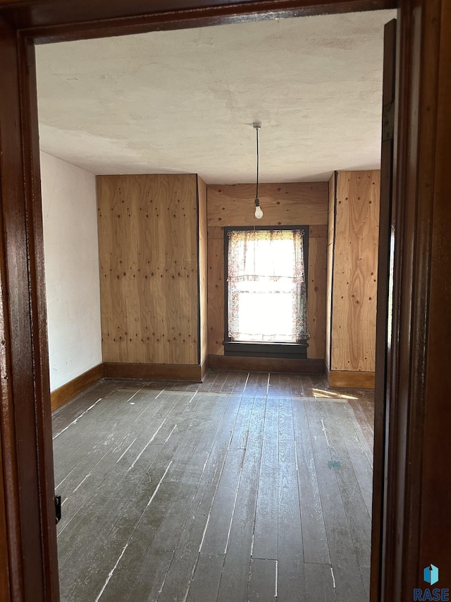 101 N Seaman St, Delmont, SD 57330 - empty room featuring baseboards, dark wood-style floors, and wooden walls