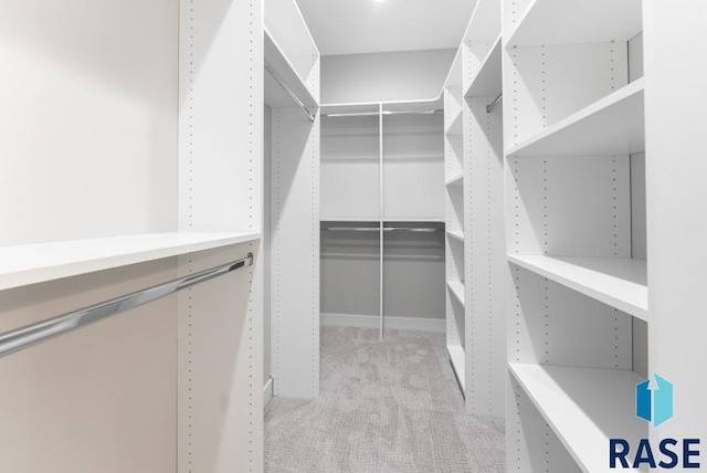 walk in closet with light carpet