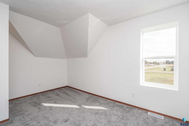 additional living space with lofted ceiling and carpet