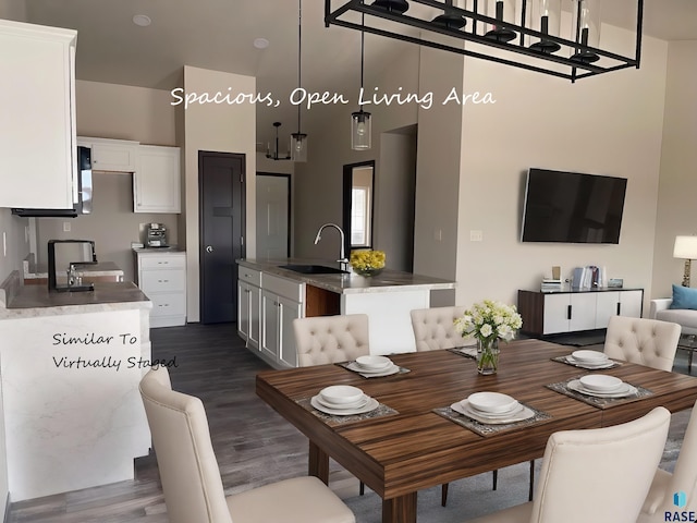 dining space featuring sink and dark wood-type flooring