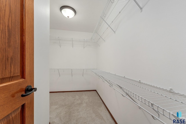 spacious closet featuring light carpet