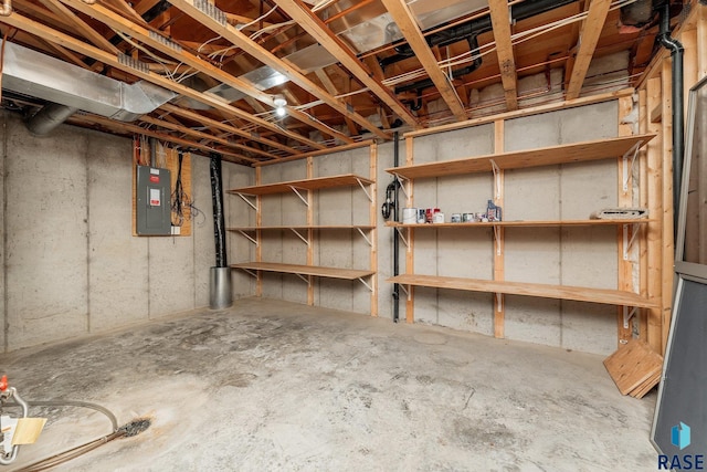 basement with electric panel