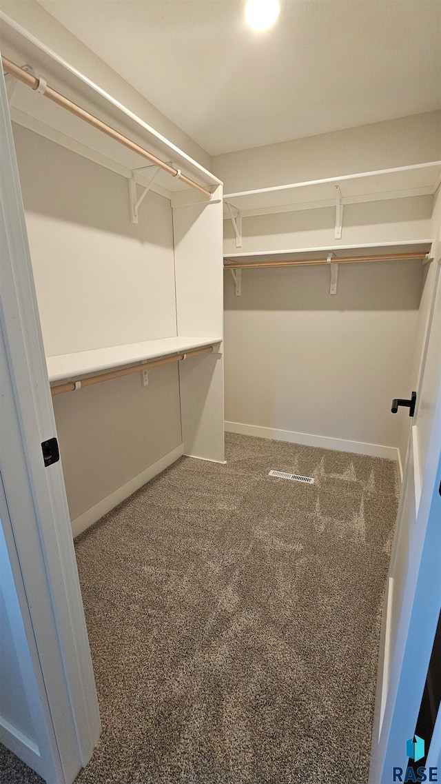 spacious closet featuring carpet