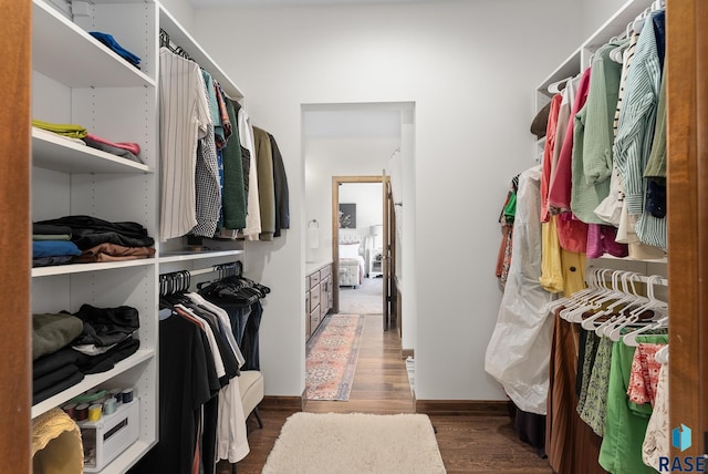 spacious closet with dark hardwood / wood-style flooring