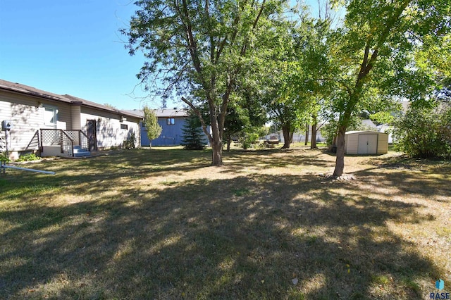 view of yard with a storage unit