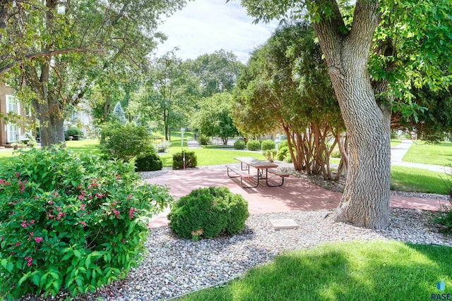 view of community with a lawn and a patio area