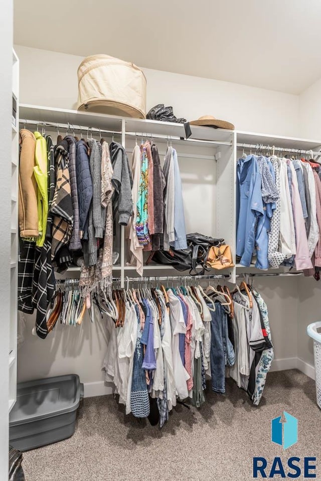 walk in closet featuring carpet