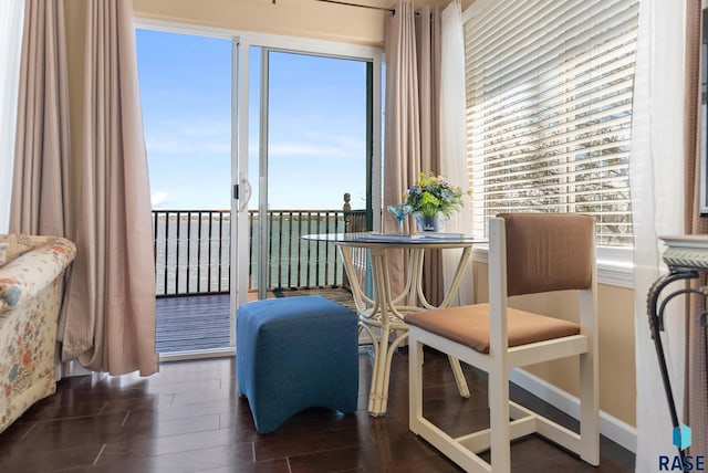 interior space with dark hardwood / wood-style flooring, a water view, and a healthy amount of sunlight