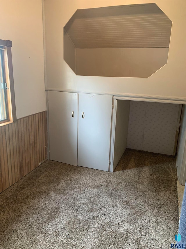 additional living space featuring carpet floors