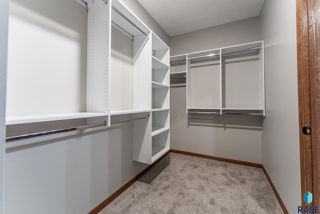 walk in closet featuring light colored carpet