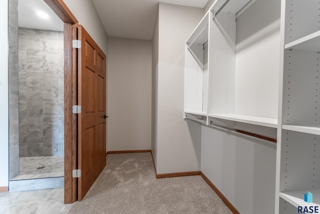 spacious closet featuring light colored carpet