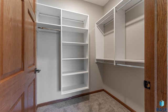 spacious closet with carpet floors