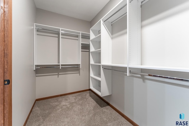 walk in closet featuring light carpet