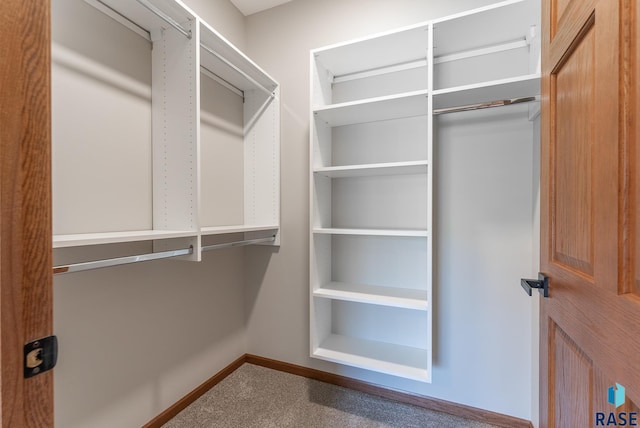 spacious closet with carpet