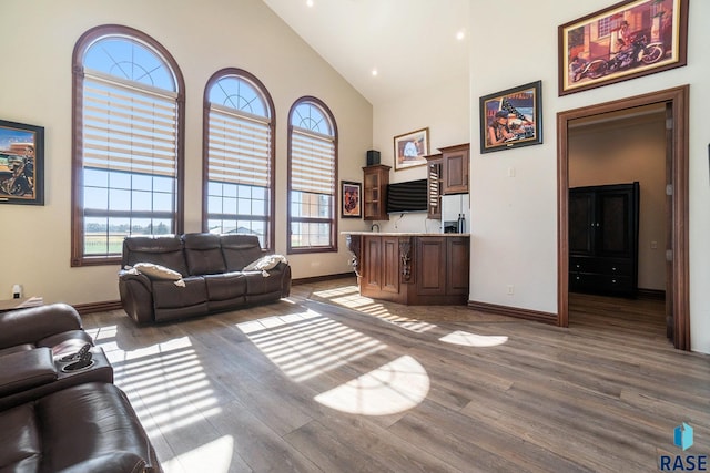 living room featuring dark wood-type flooring and high vaulted ceiling