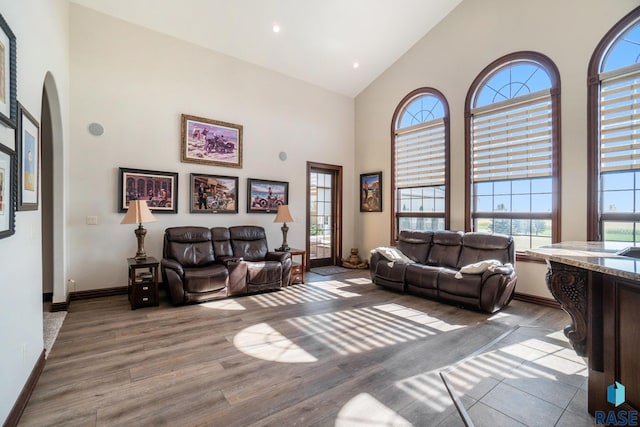 living room with high vaulted ceiling and light wood-type flooring