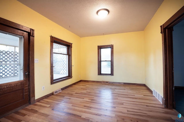 entryway featuring a textured ceiling, light hardwood / wood-style flooring, and a wealth of natural light