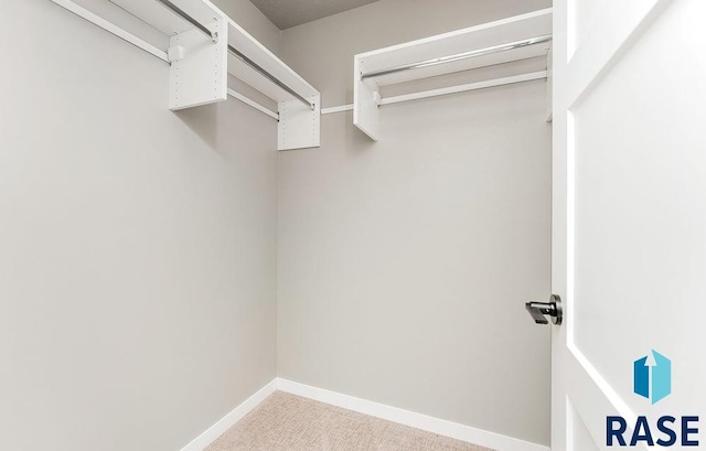 walk in closet featuring light colored carpet