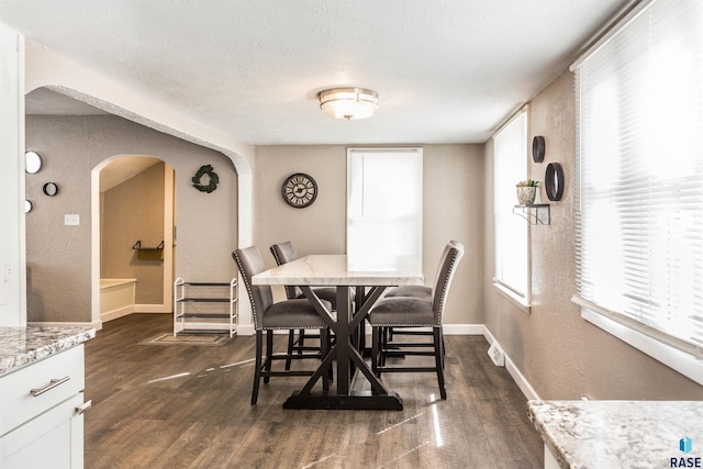 dining space featuring a textured ceiling, dark hardwood / wood-style flooring, and a wealth of natural light