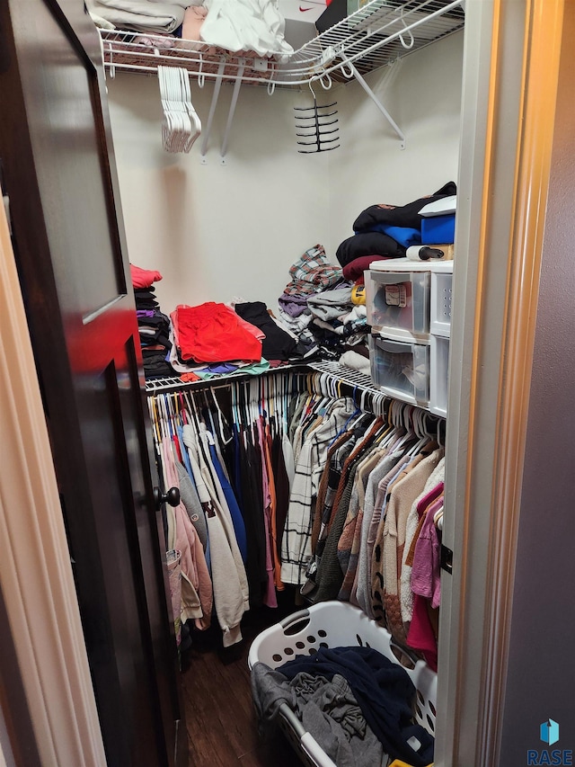 spacious closet with hardwood / wood-style floors