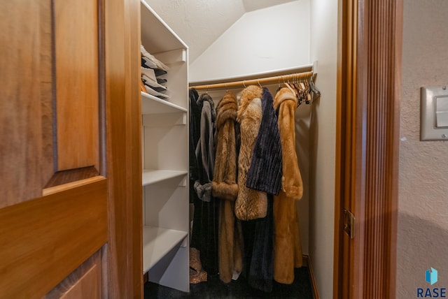 spacious closet with lofted ceiling