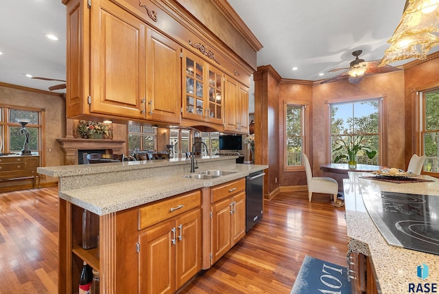 kitchen featuring light stone counters, dishwasher, hardwood / wood-style flooring, cooktop, and sink