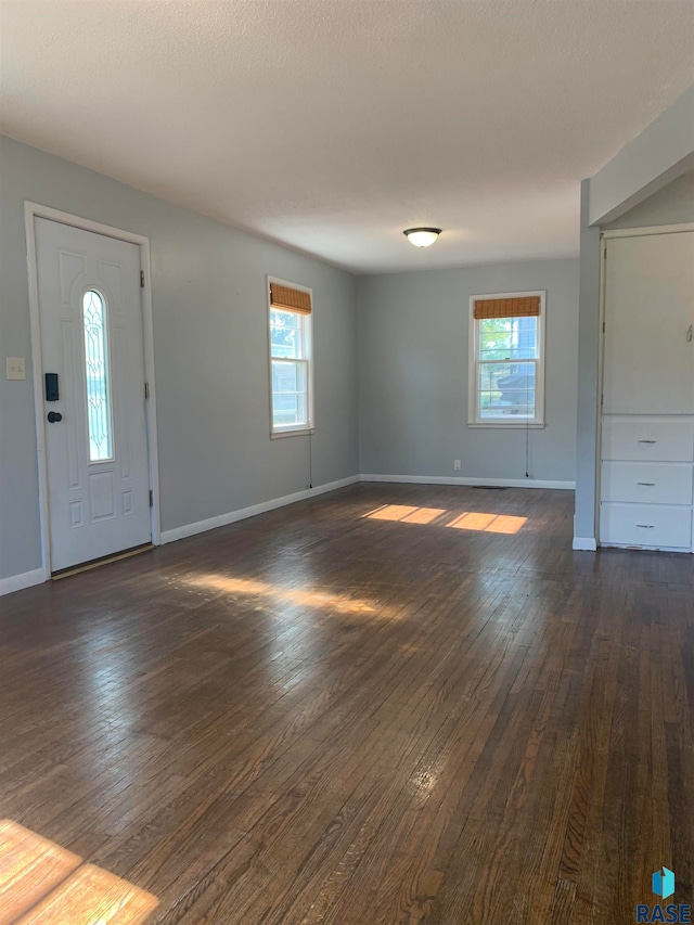 foyer entrance with plenty of natural light and dark hardwood / wood-style floors