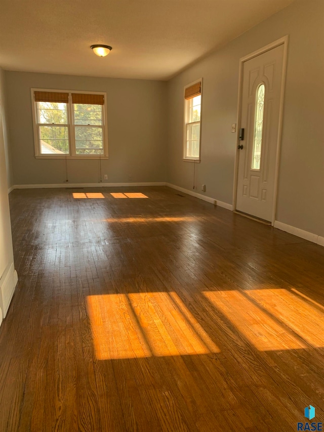 entrance foyer featuring dark wood-type flooring