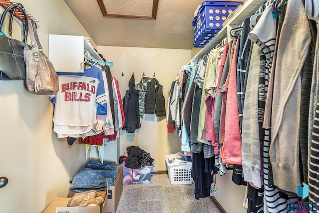 walk in closet featuring carpet