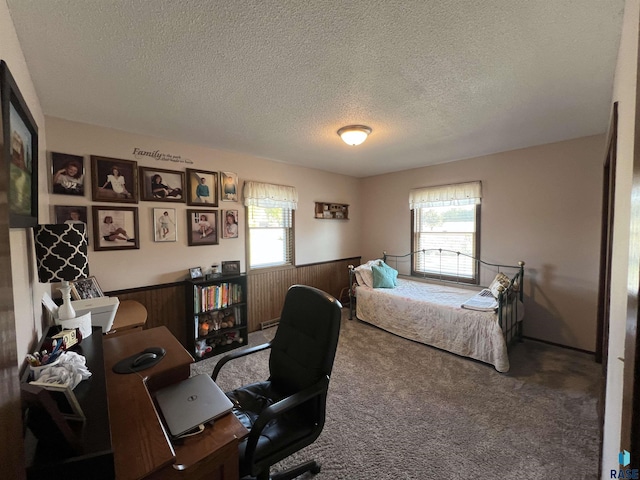 1495 115th St, Luverne, MN 56156 - carpeted bedroom featuring a textured ceiling, wainscoting, multiple windows, and an office area