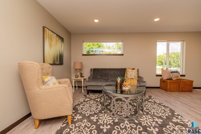 living room with hardwood / wood-style floors and a healthy amount of sunlight