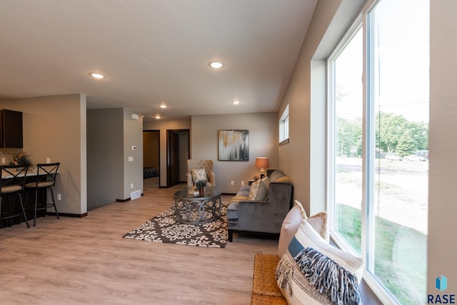 living room featuring light hardwood / wood-style flooring