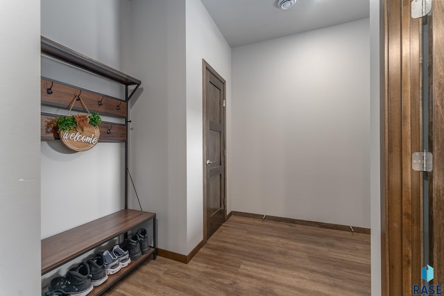 mudroom with wood-type flooring