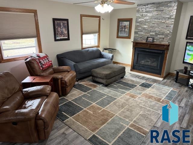 living room with hardwood / wood-style flooring, a healthy amount of sunlight, and a fireplace