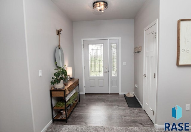 entrance foyer with dark wood-type flooring