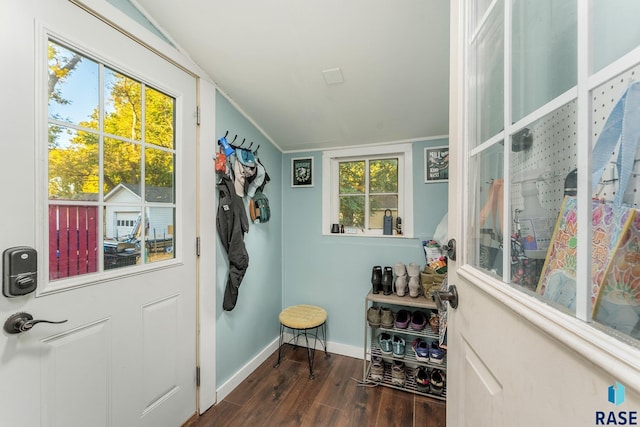 entryway featuring ornamental molding, dark hardwood / wood-style flooring, and a wealth of natural light