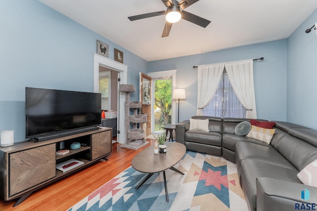 living room with ceiling fan and wood-type flooring