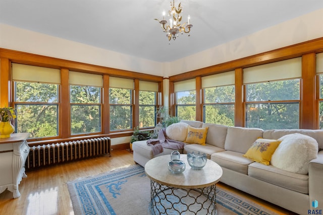 living room featuring a wealth of natural light, a chandelier, light hardwood / wood-style floors, and radiator