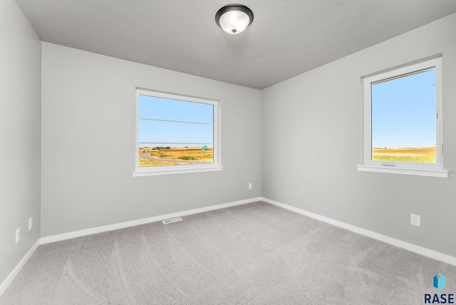 unfurnished room with carpet and a wealth of natural light